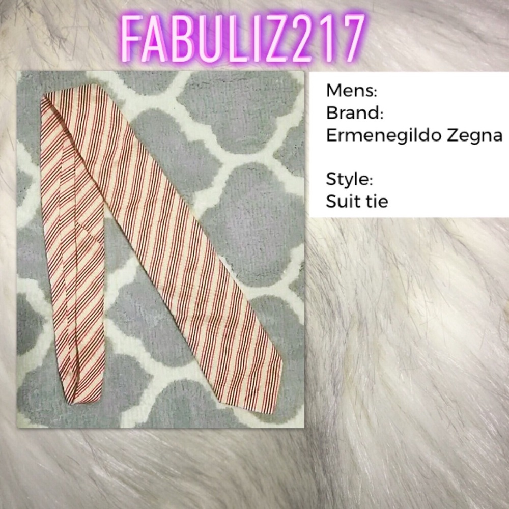Ermenegildo Zegna mens tie